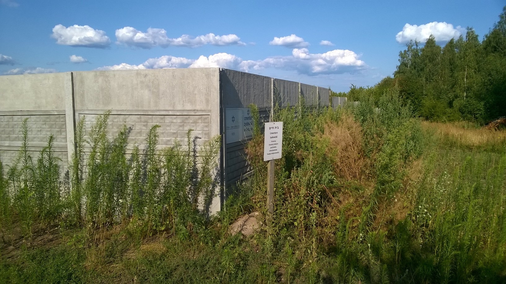 exterior  landscaping +wall